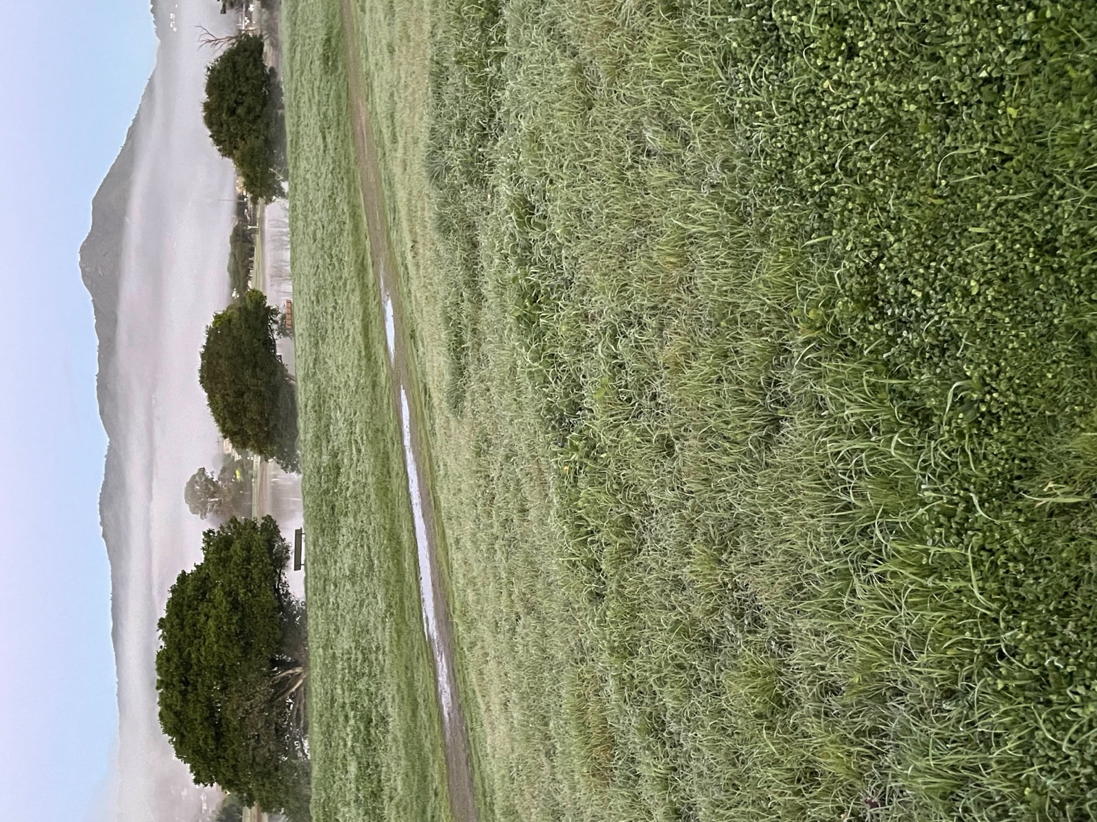 Segment 10, photo 4