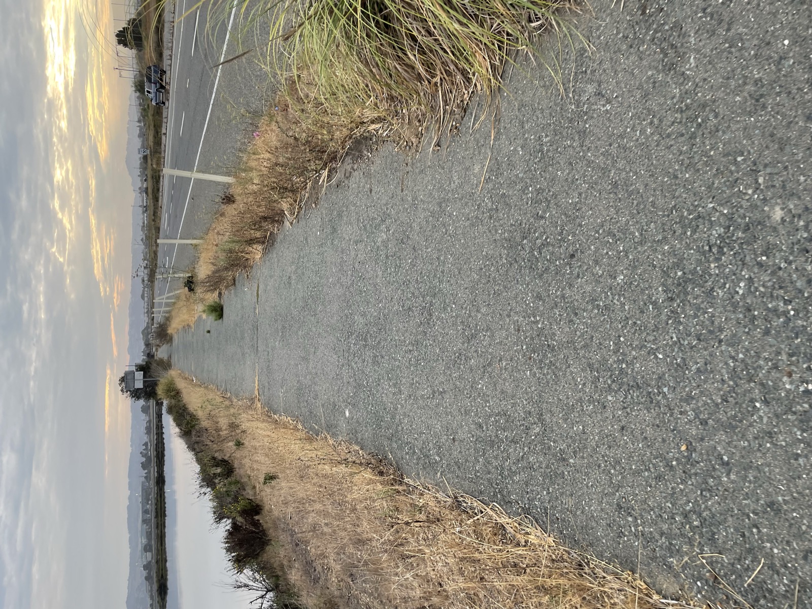 Segment 100, photo 1
