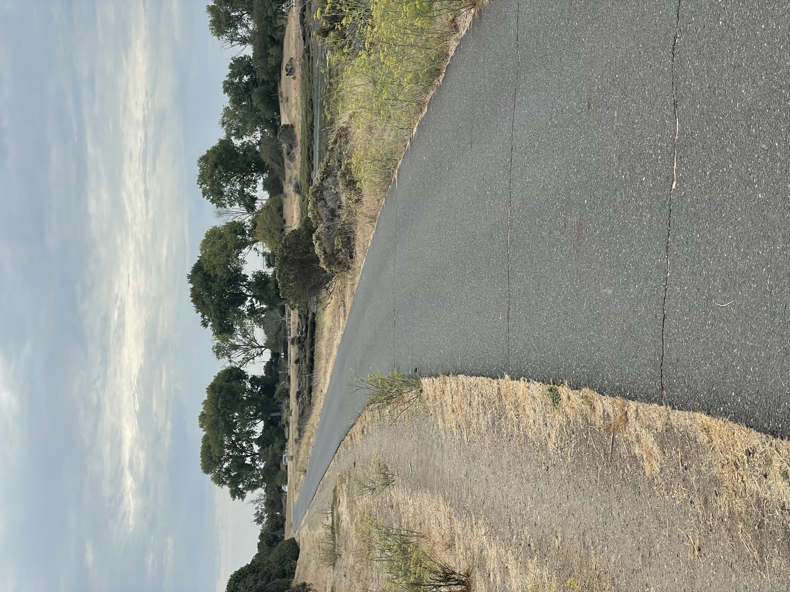 Segment 101, photo 13