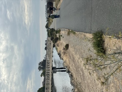 Segment 101 photo 9