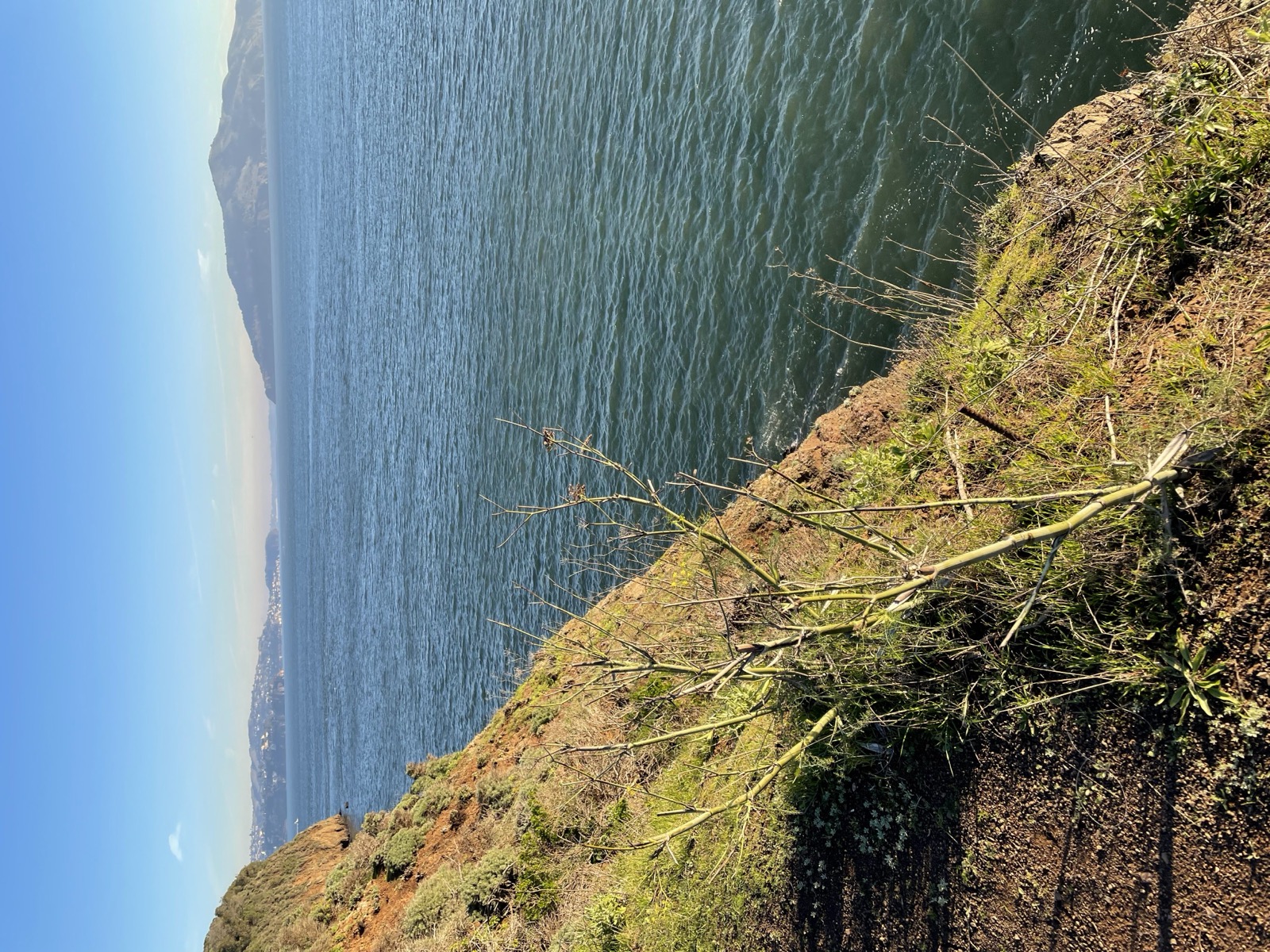 Segment 11, photo 8
