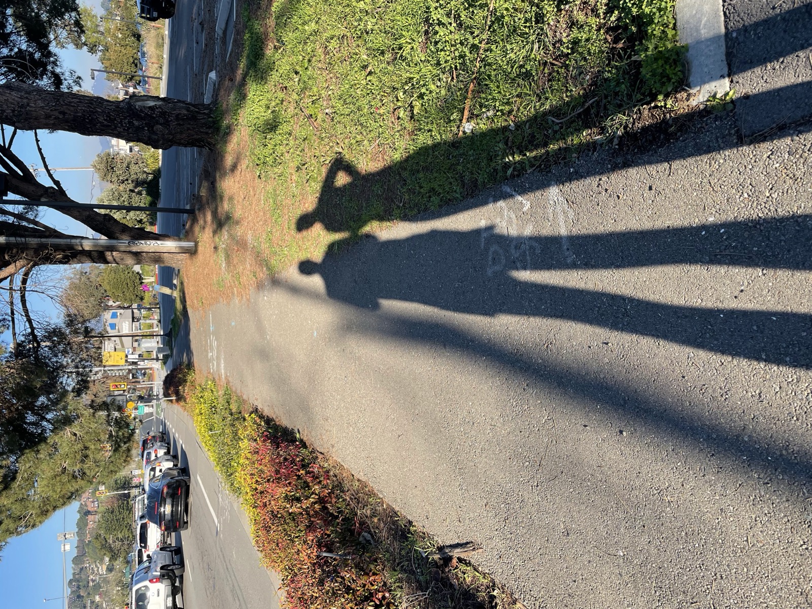 Segment 11, photo 16