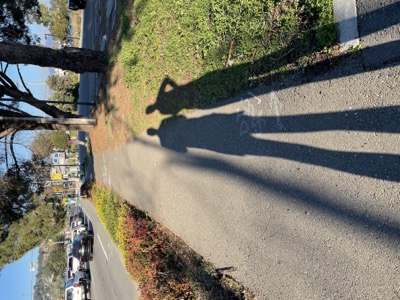 Segment 11 photo 16