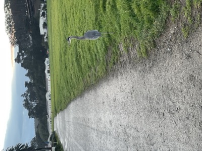 Segment 13 photo 3