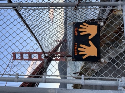 Segment 13 photo 11