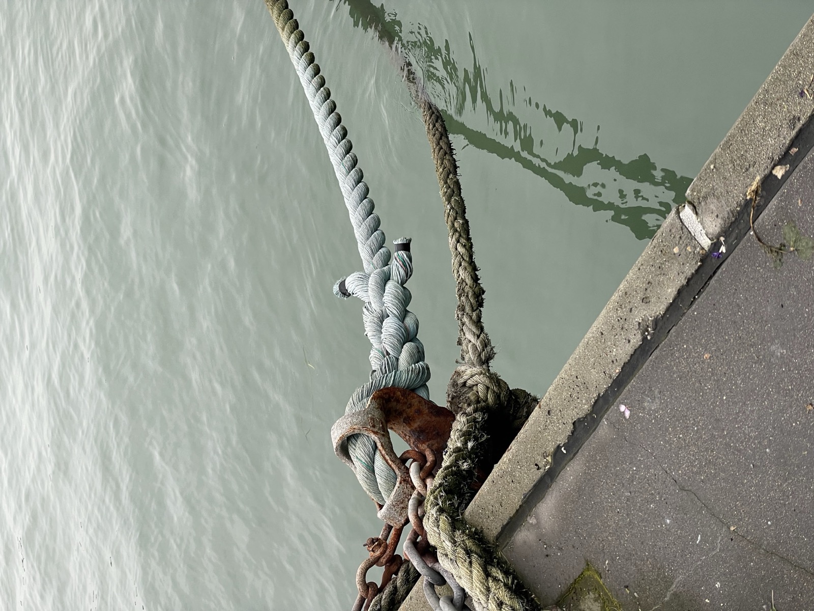 Segment 14, photo 19