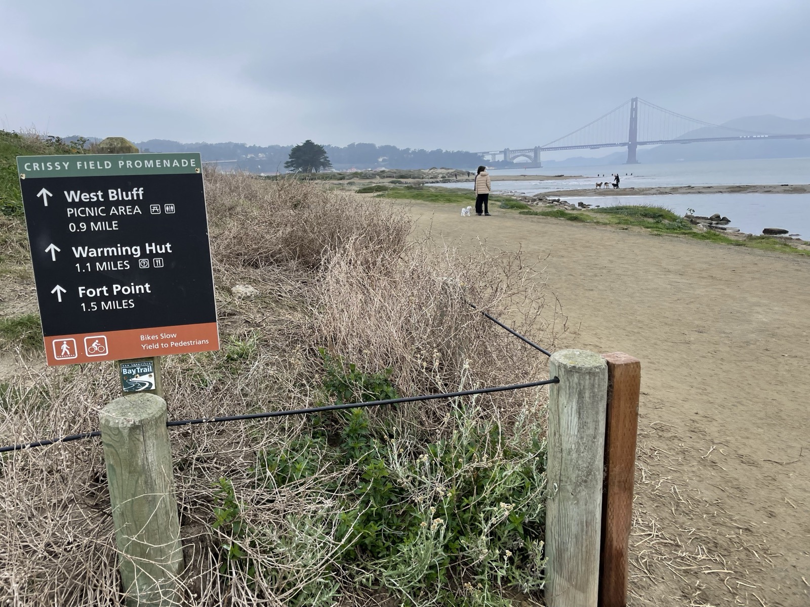 Segment 14, photo 27