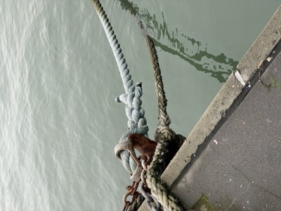 Segment 14 photo 19
