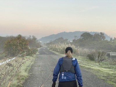Segment 16 photo 4