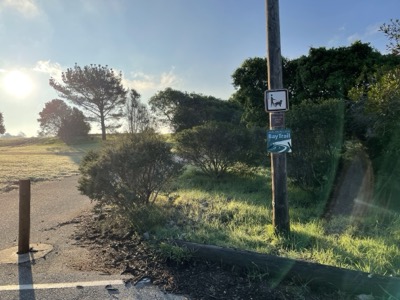 Segment 16 photo 16