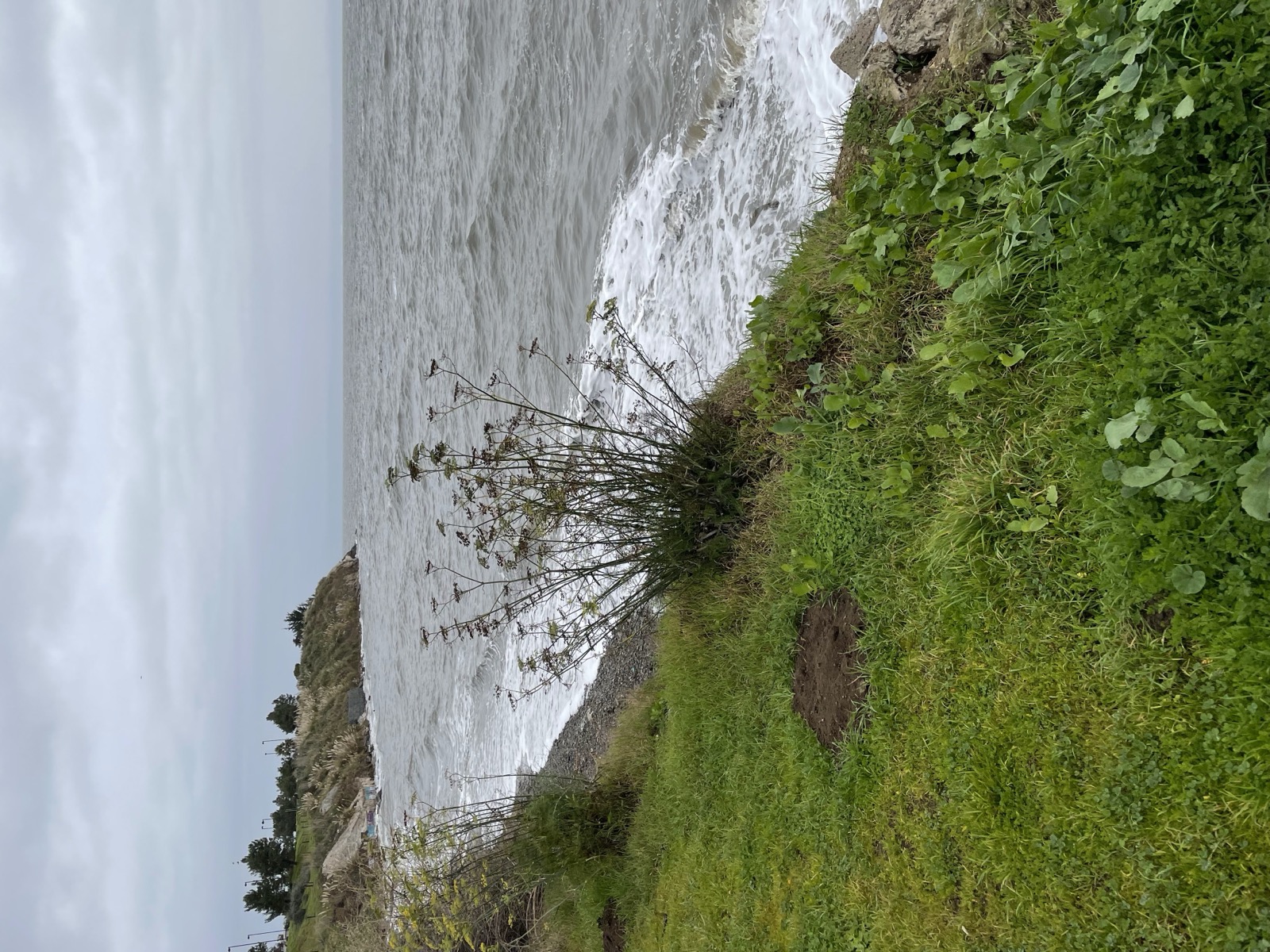 Segment 17, photo 6