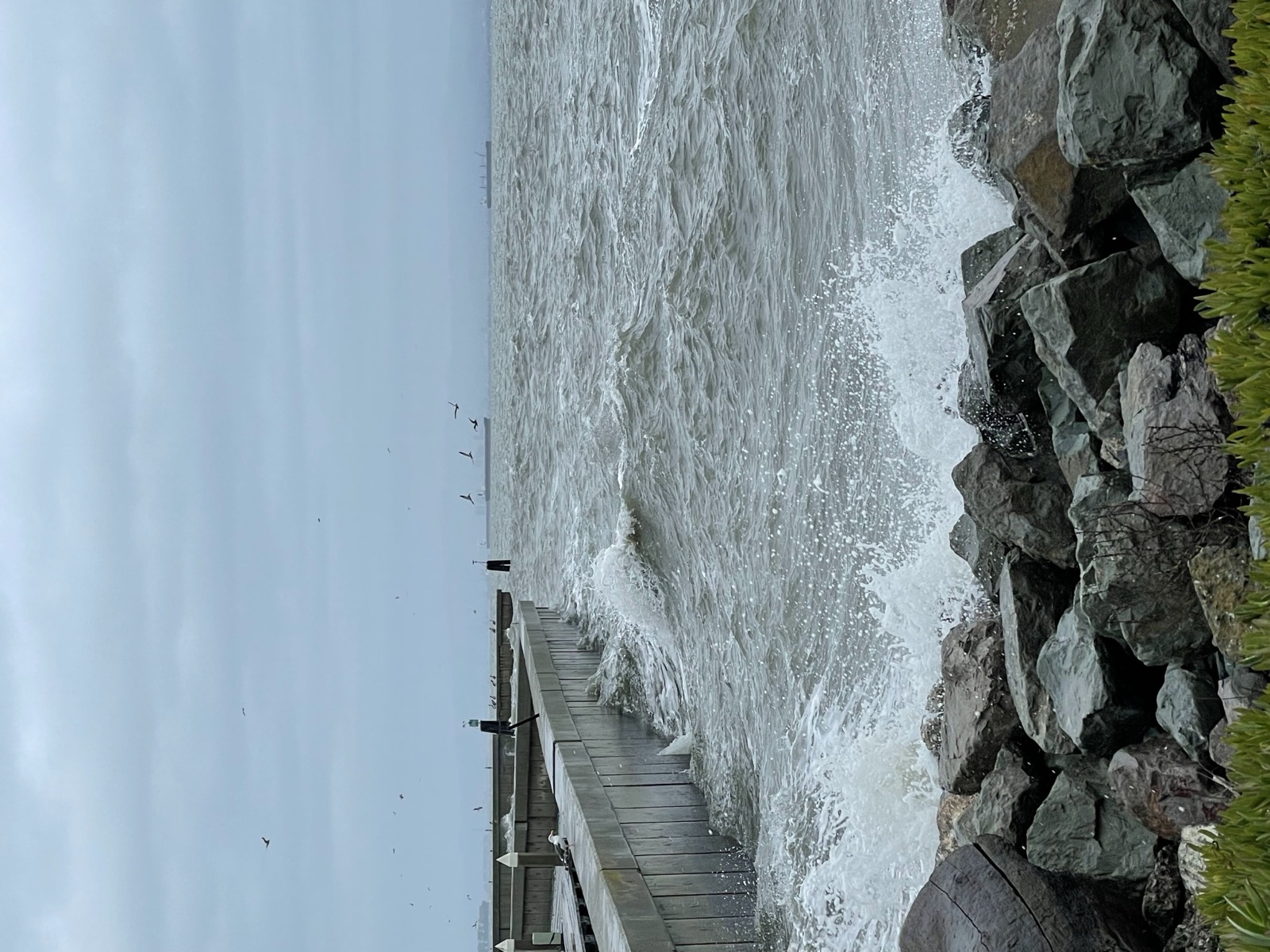 Segment 17, photo 13