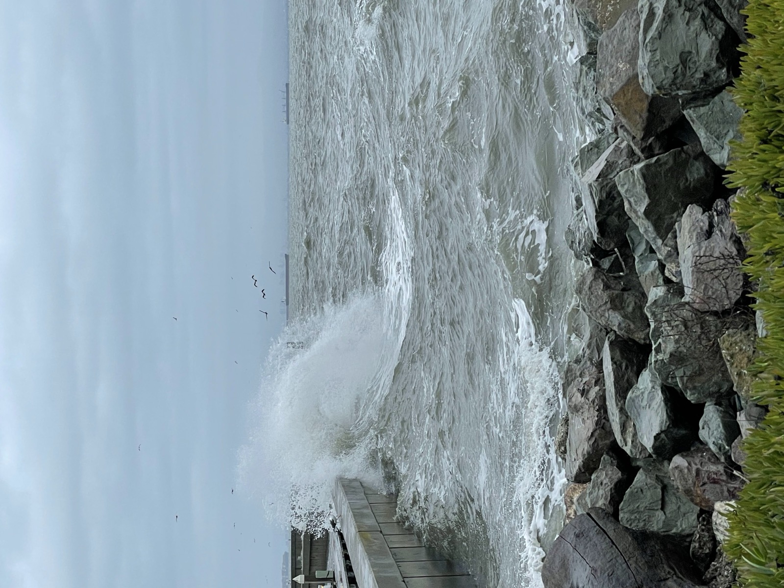 Segment 17, photo 14
