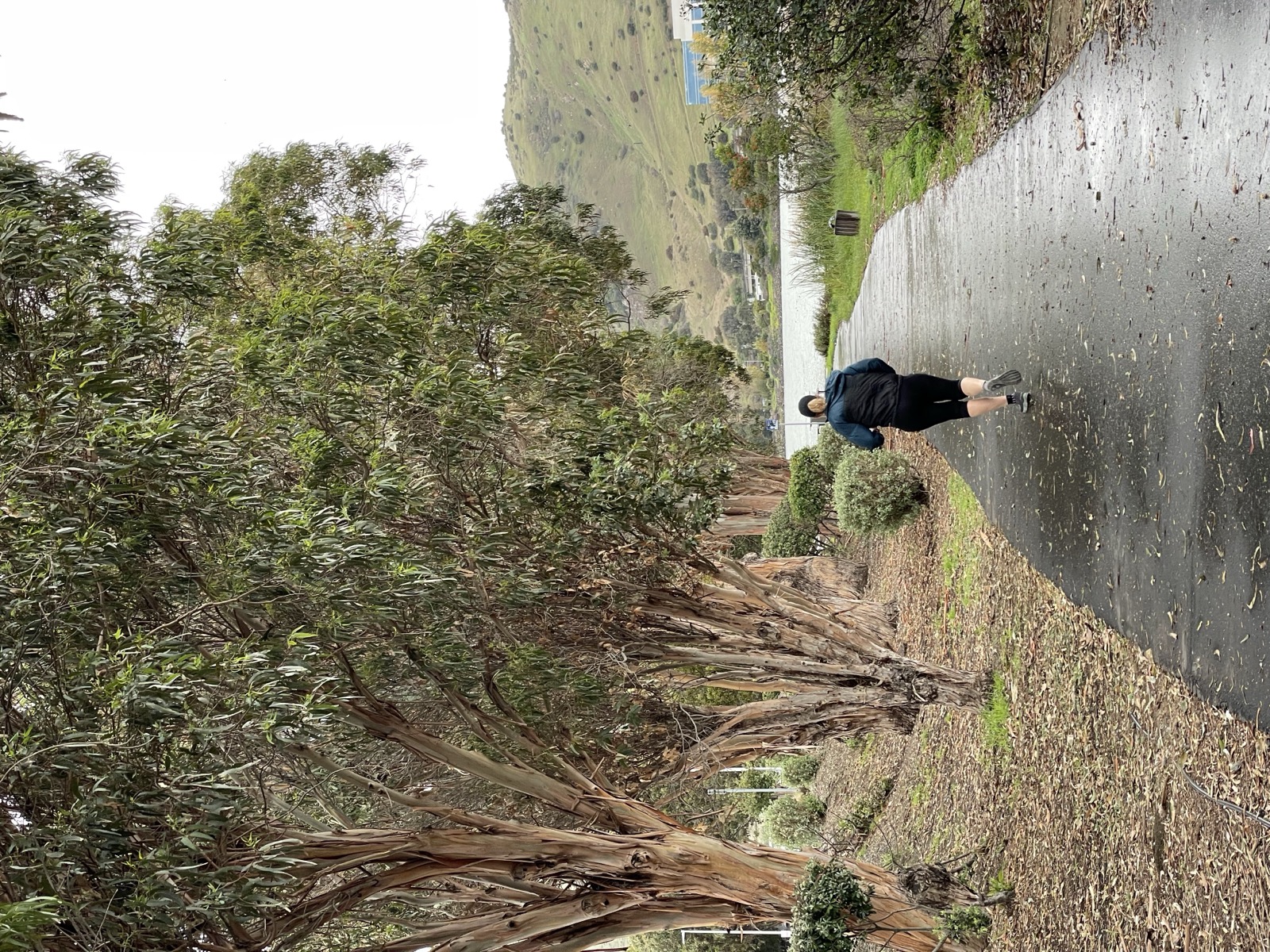 Segment 17, photo 18