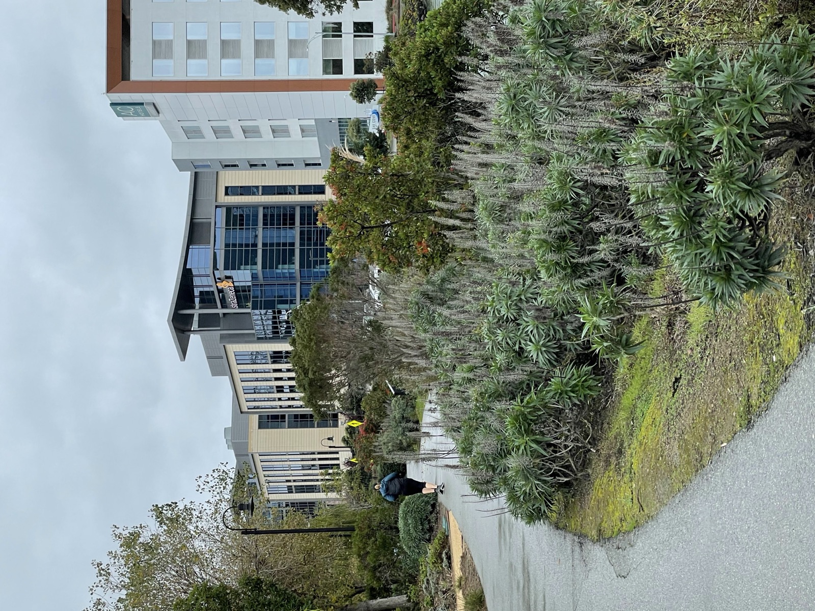 Segment 17, photo 20