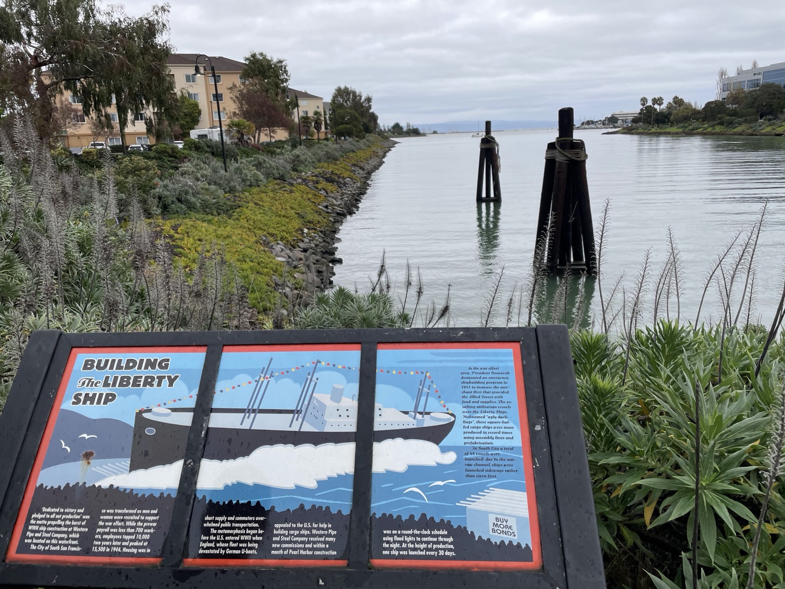 Segment 17, photo 22