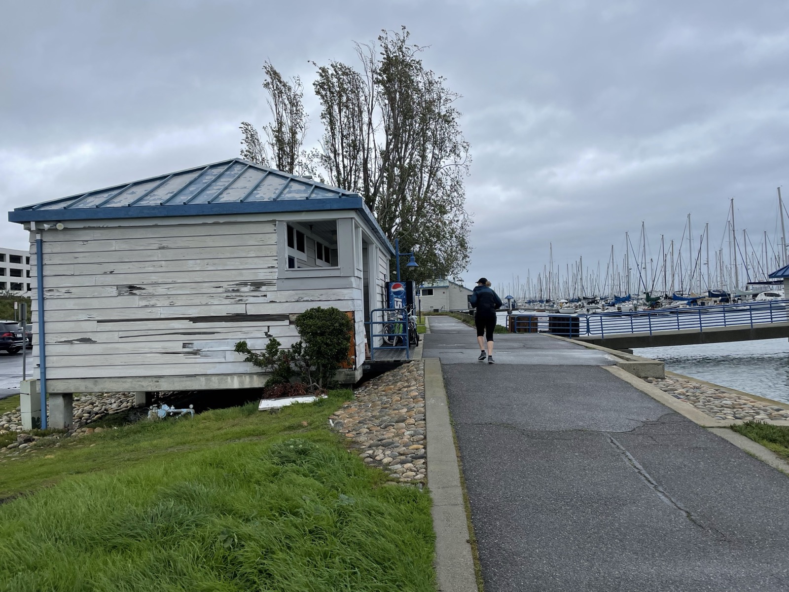 Segment 17, photo 23