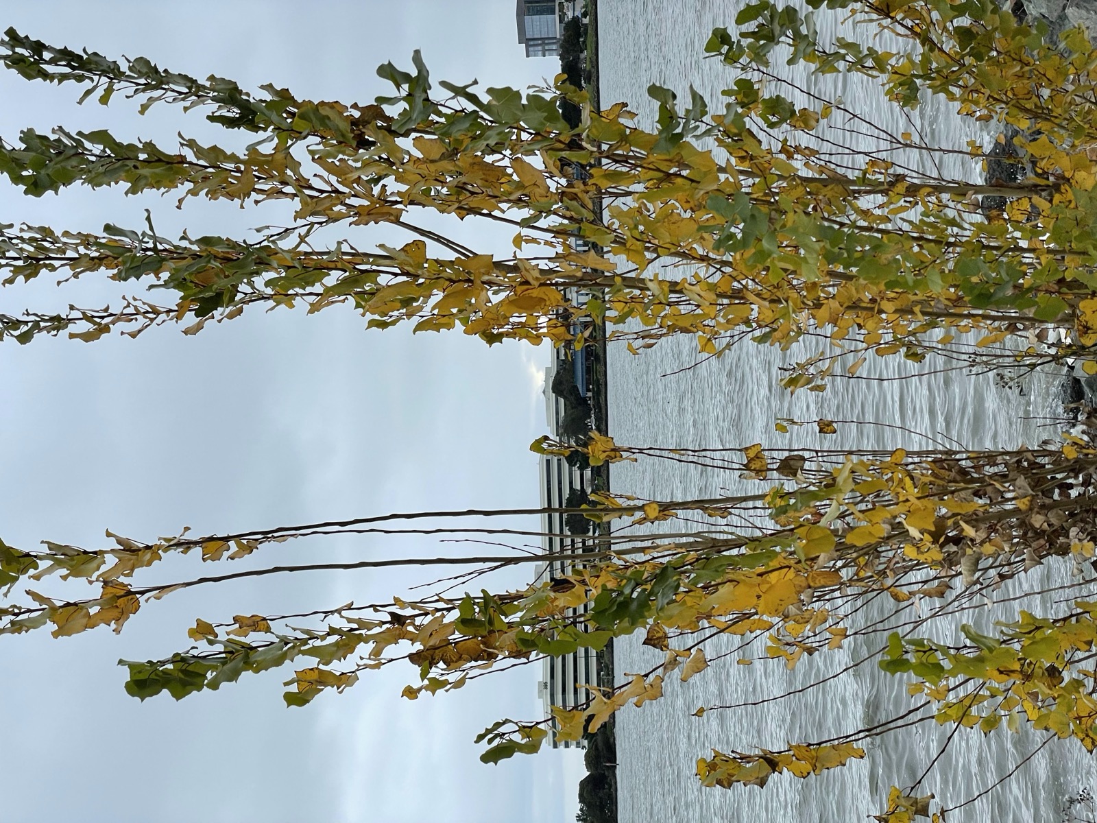 Segment 17, photo 31