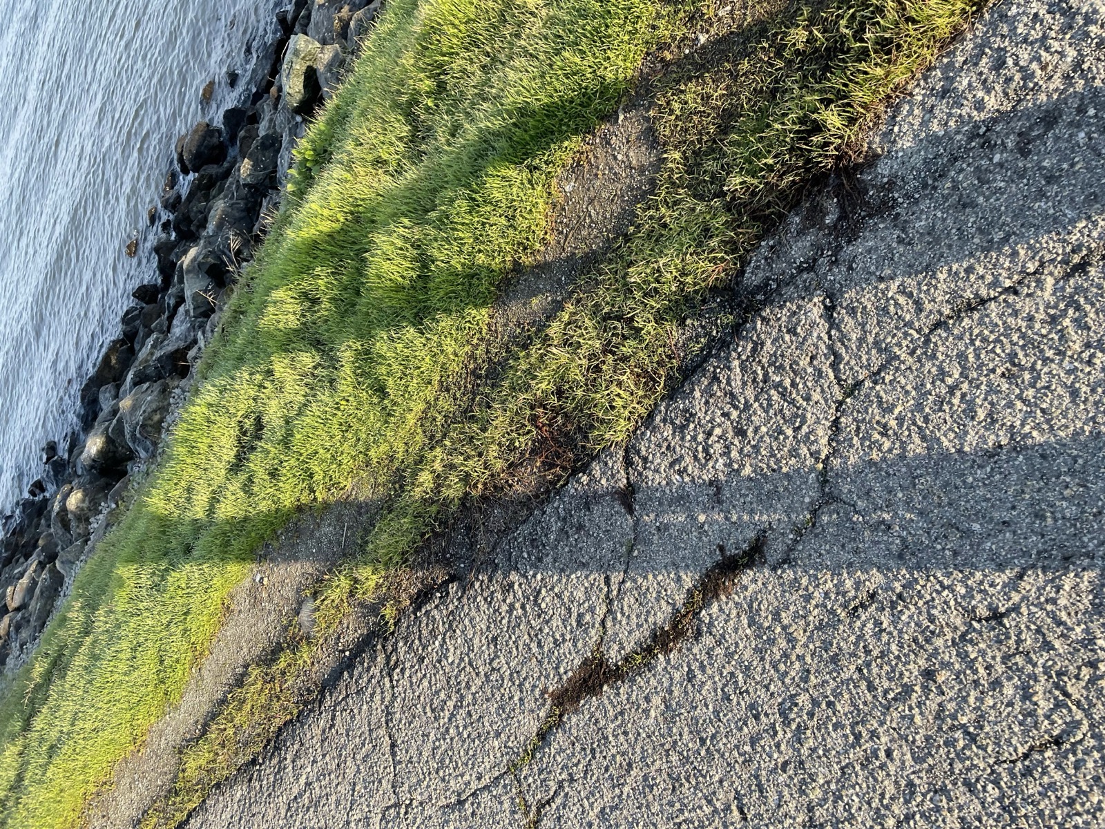 Segment 21, photo 10