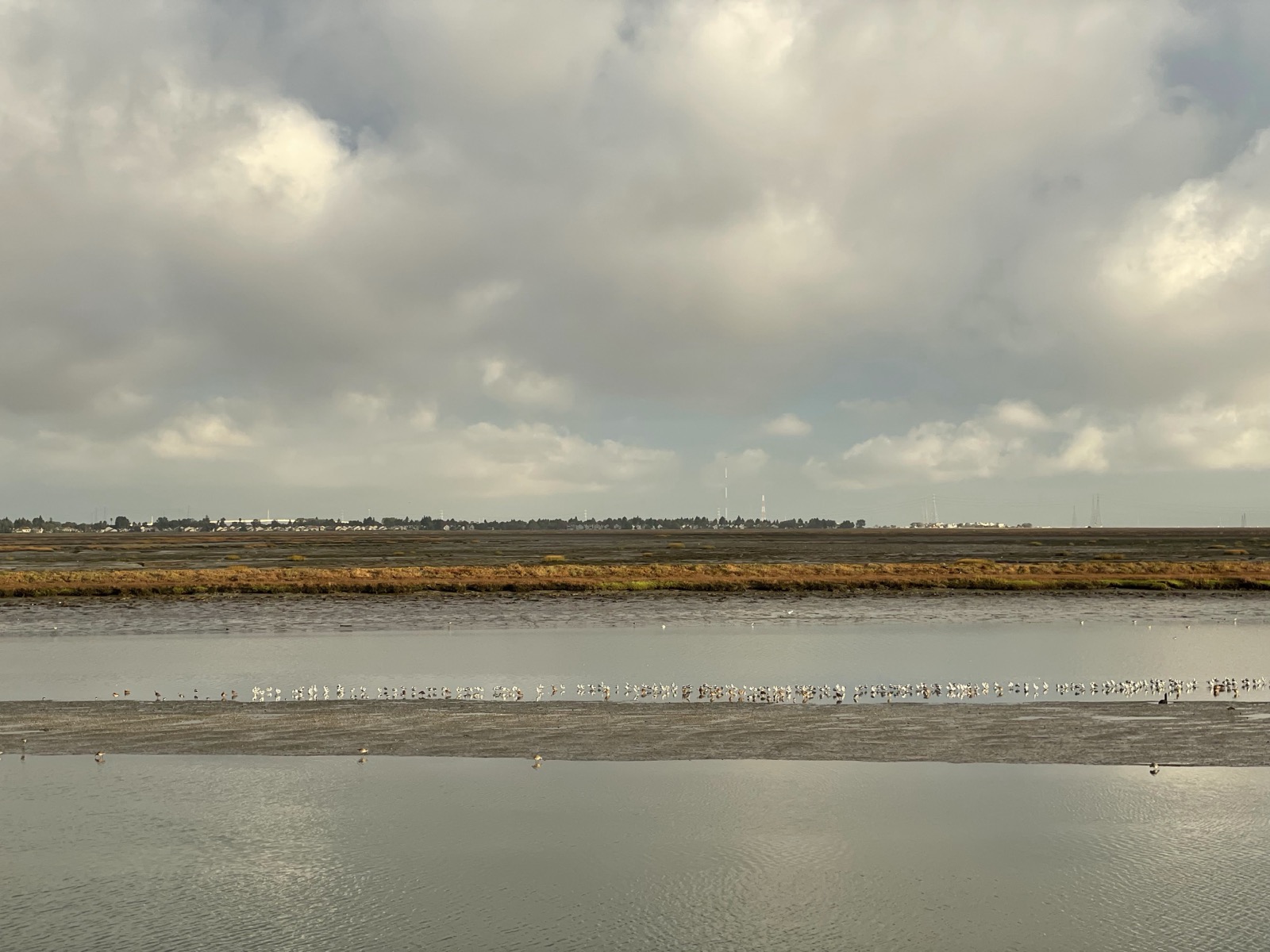 Segment 26, photo 7