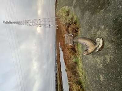 Segment 26 photo 4