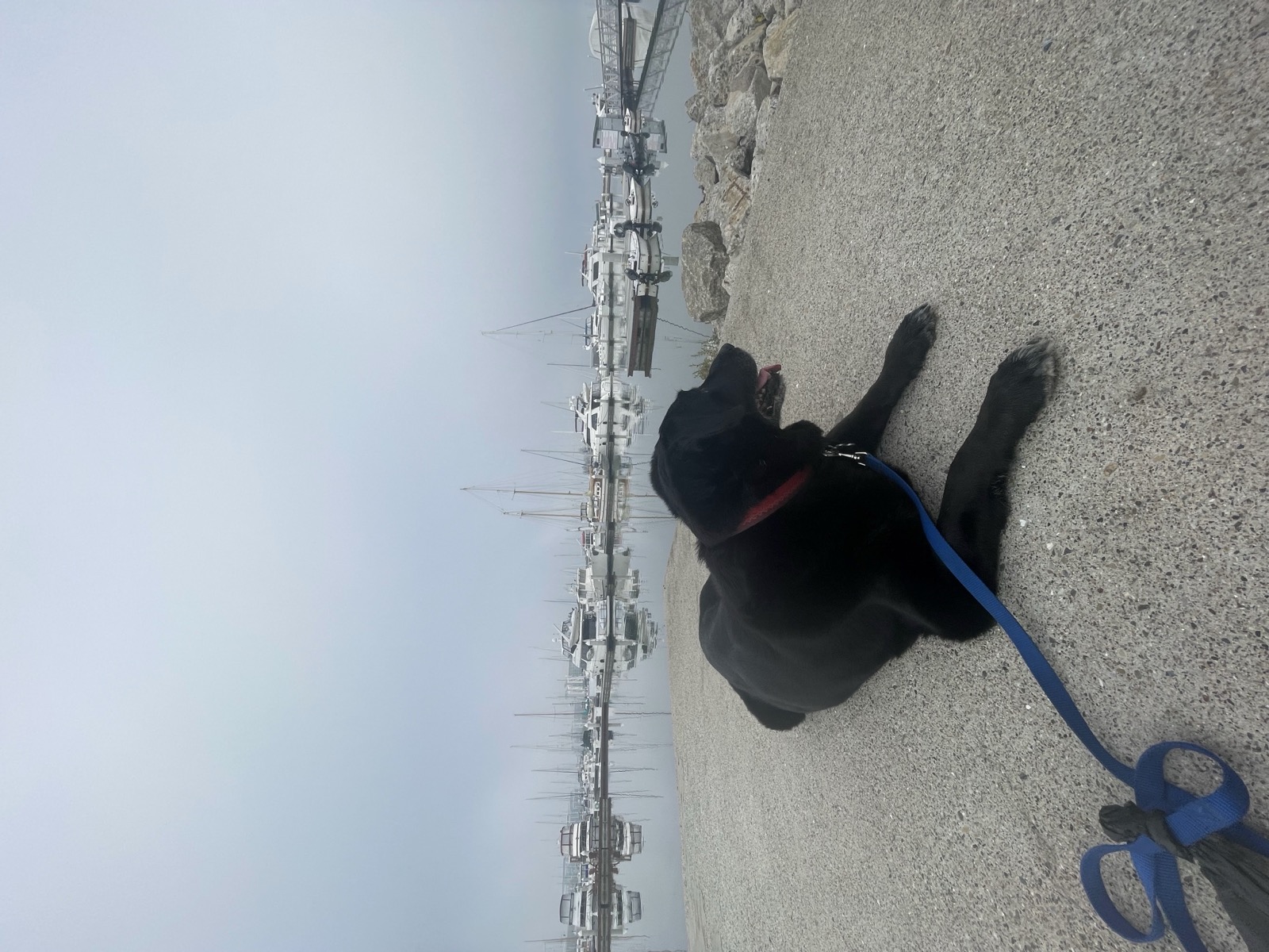 Segment 27, photo 17