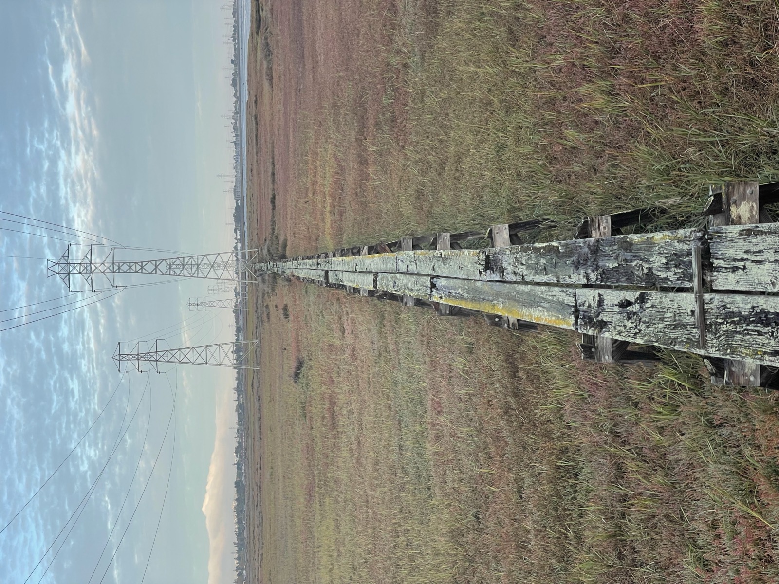 Segment 28, photo 14