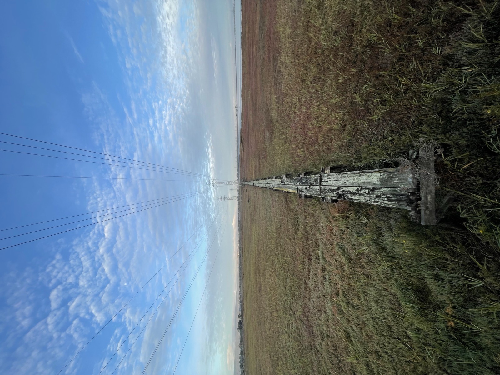 Segment 28, photo 15
