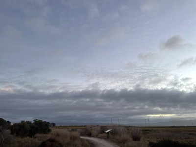 Segment 28 photo 2