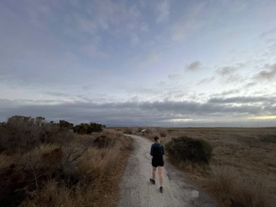 Segment 28 photo 3