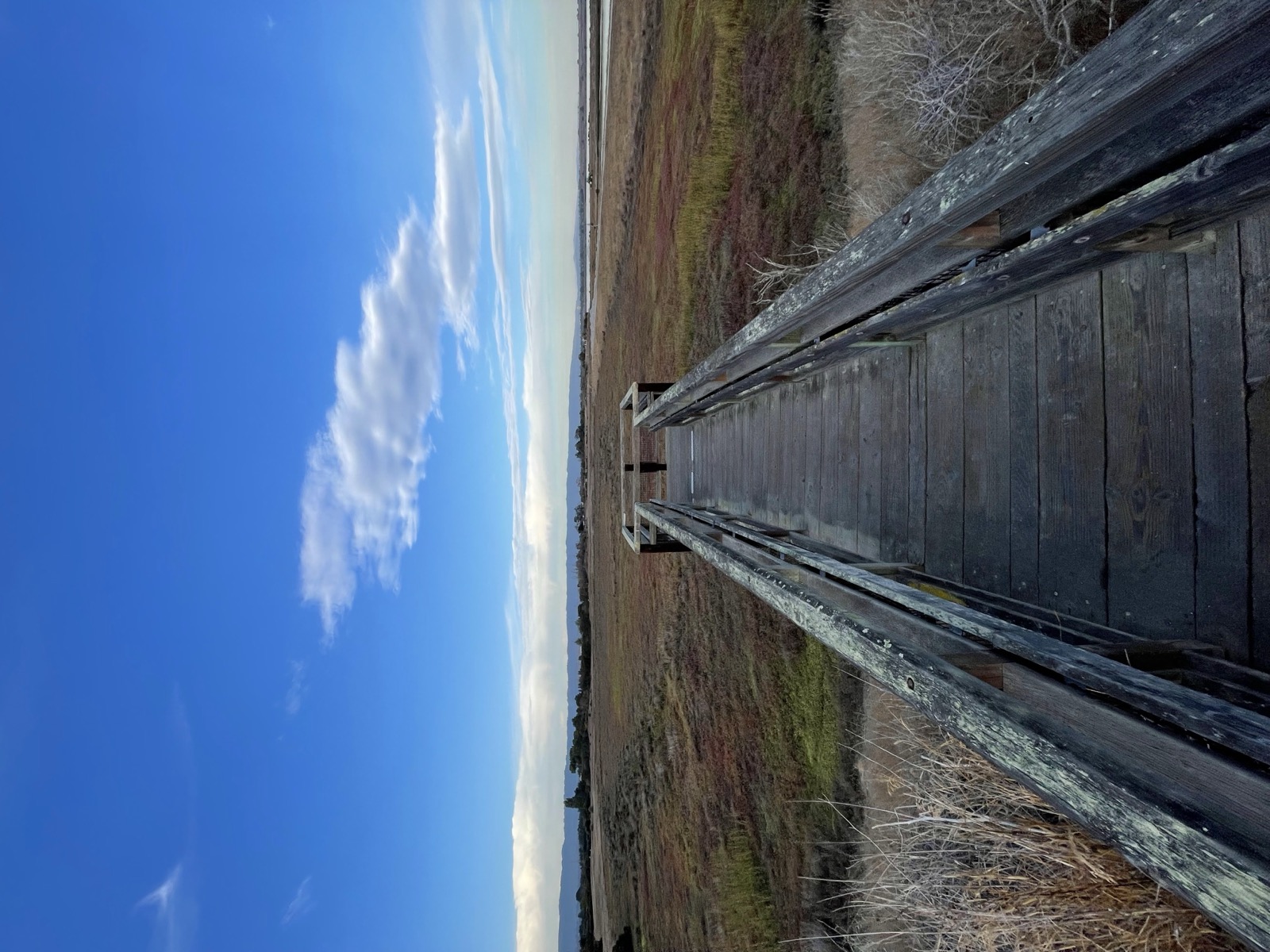 Segment 29, photo 12