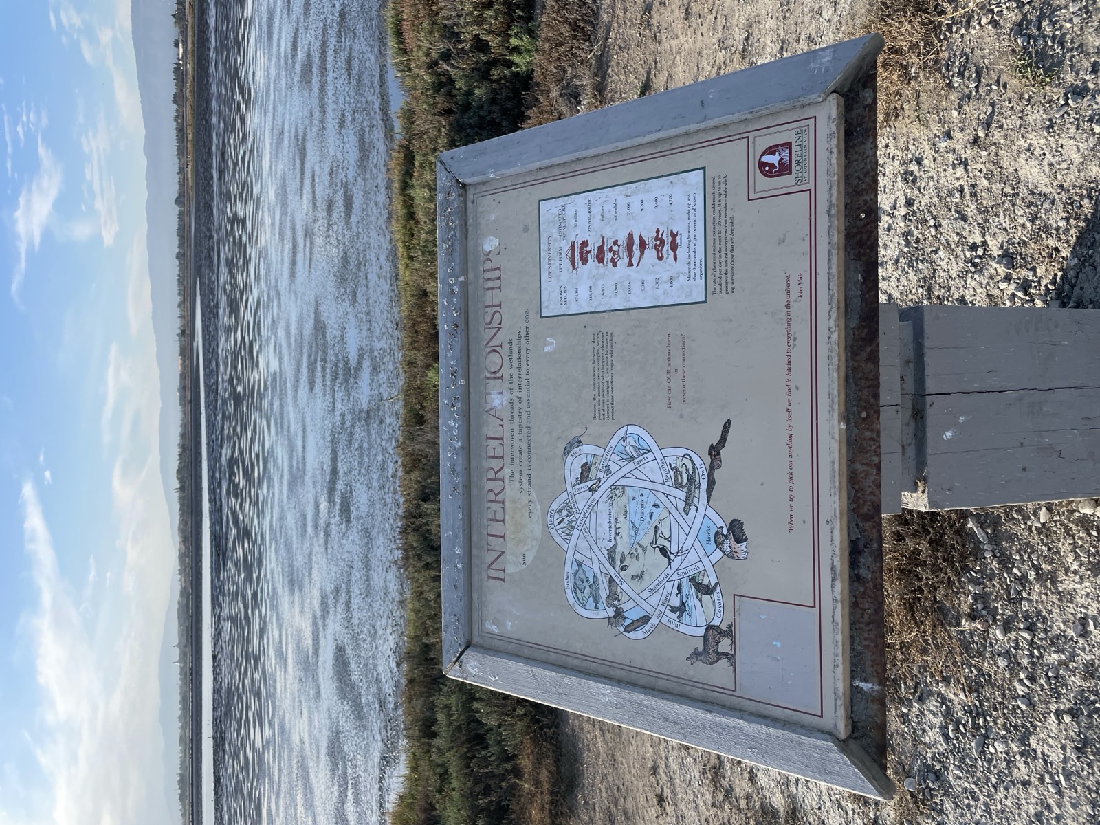 Segment 29, photo 14