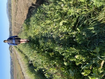 Segment 3 photo 13