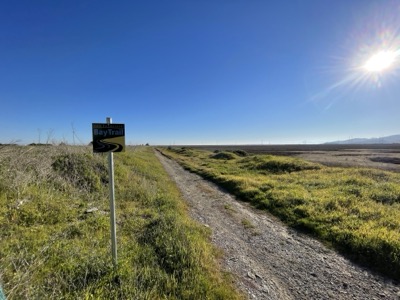 Segment 3 photo 14