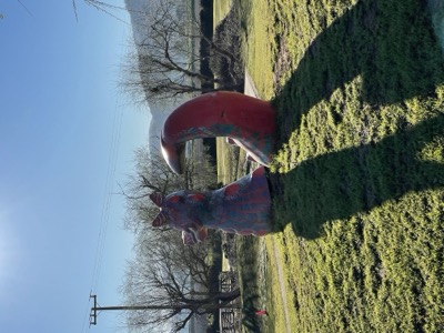 Segment 3 photo 17