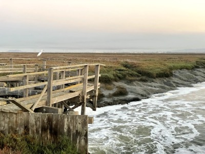 Segment 32 photo 6