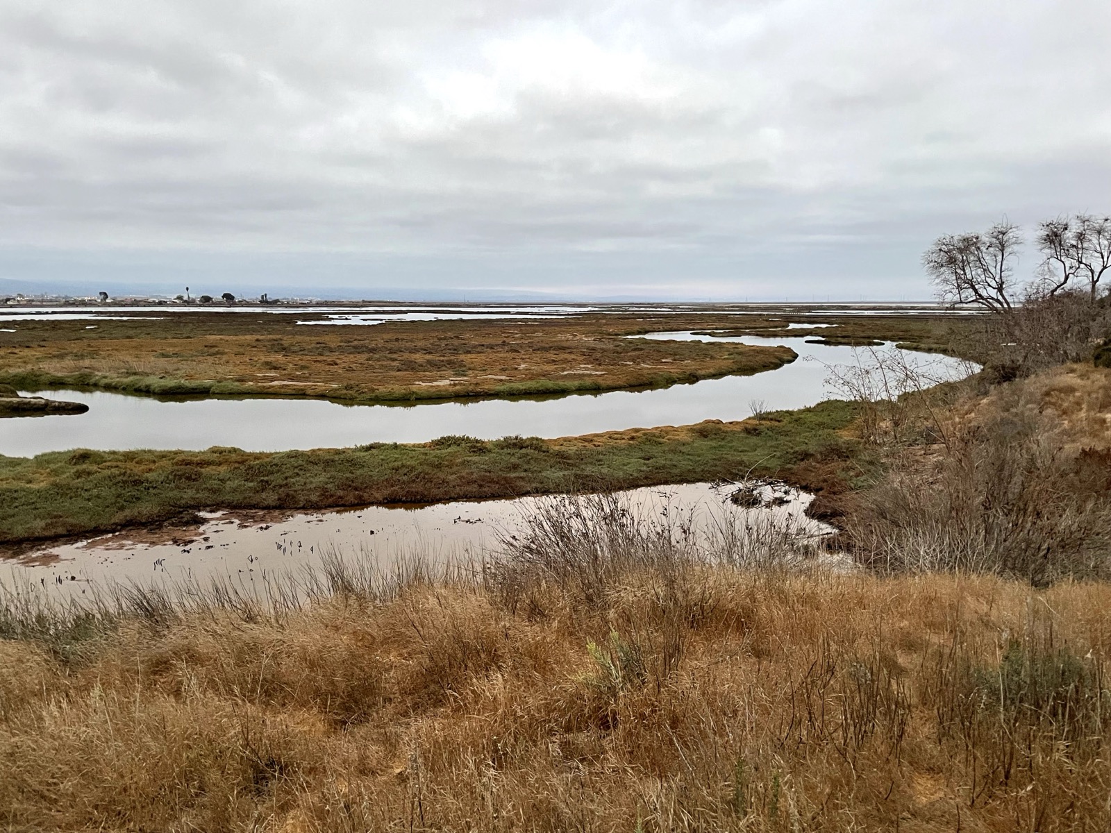Segment 33, photo 3