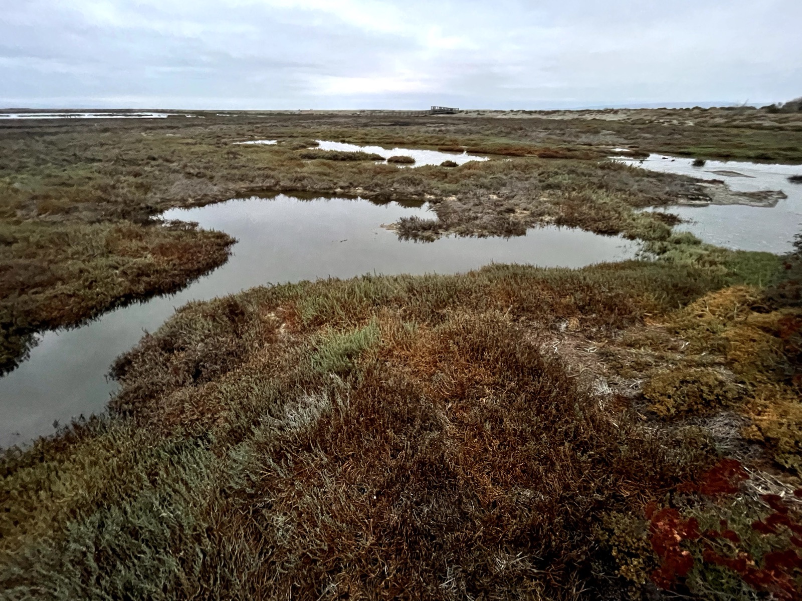 Segment 33, photo 5