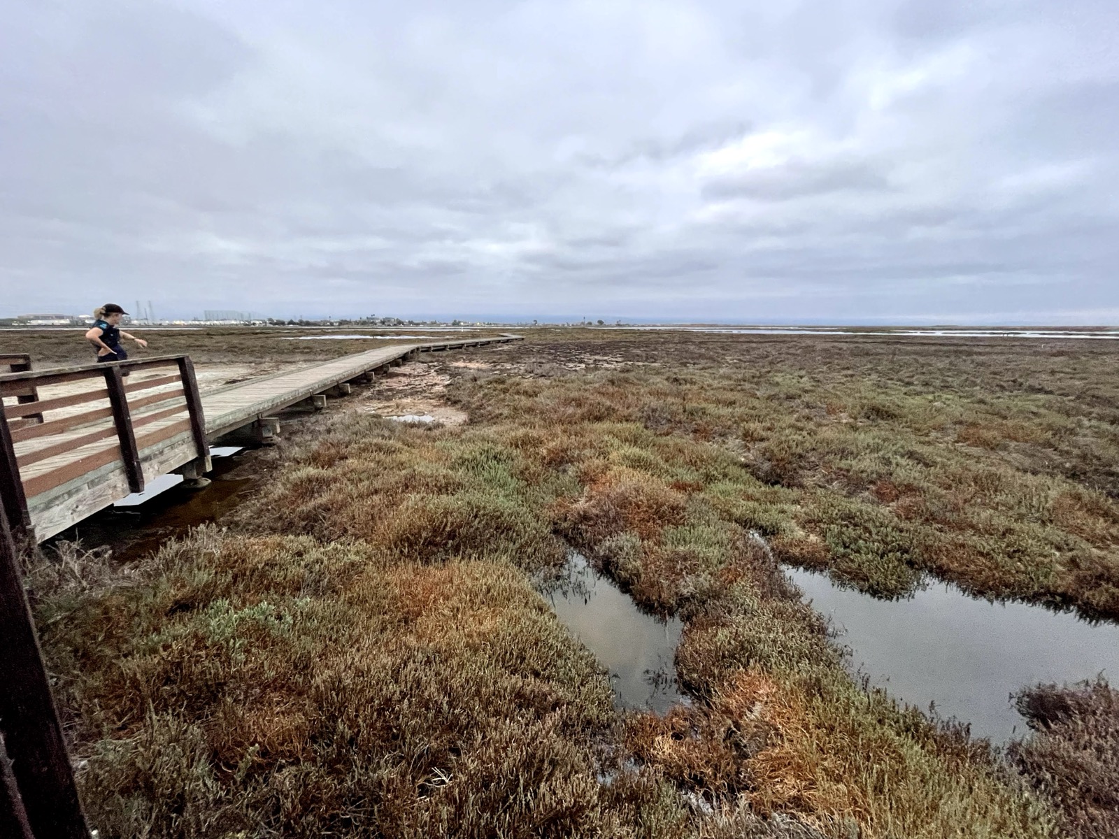 Segment 33, photo 6