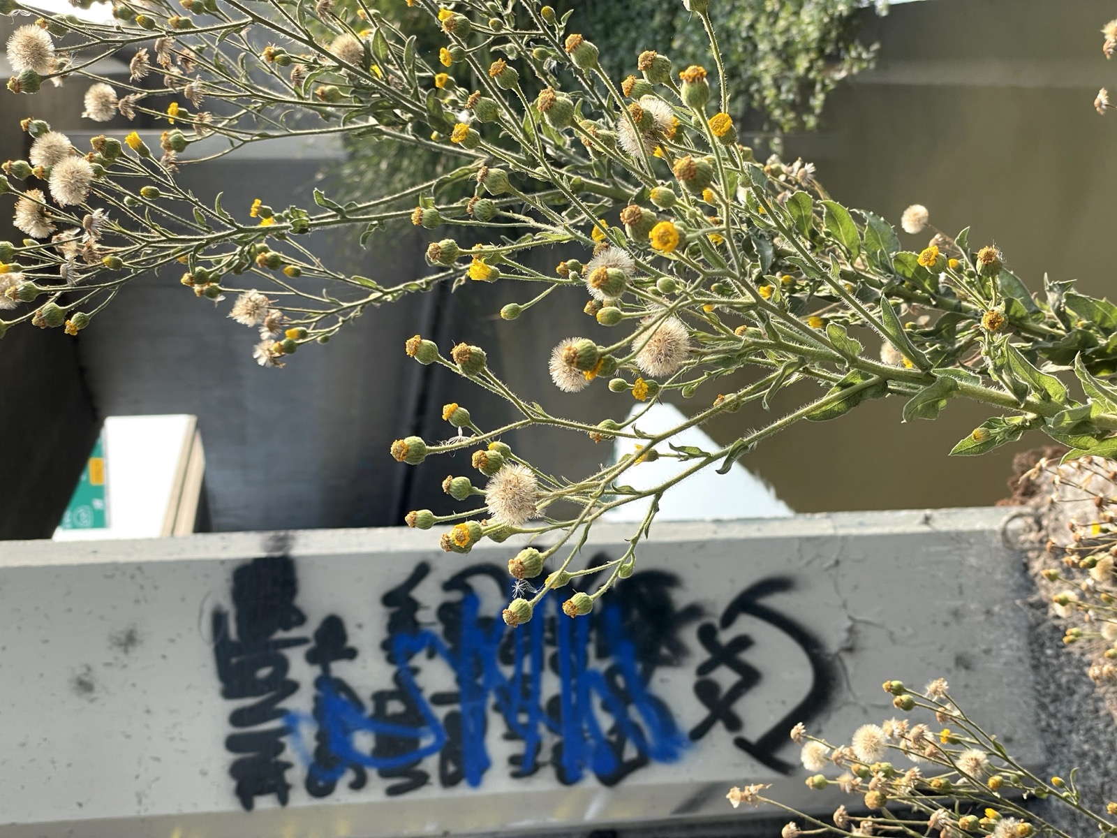 Segment 34, photo 15