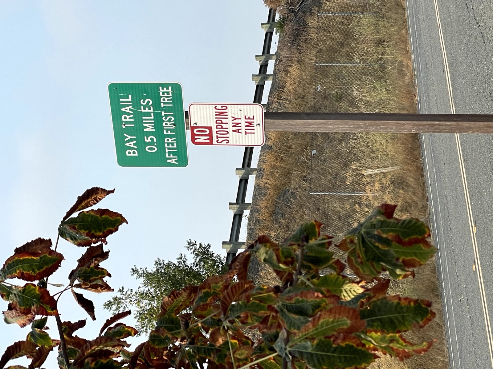 Segment 34, photo 18