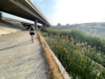 Segment 34 photo 14