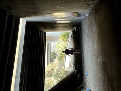 Segment 34 photo 17