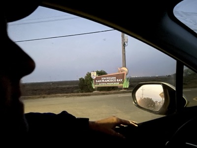 Segment 35 photo 1