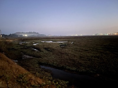 Segment 35 photo 3