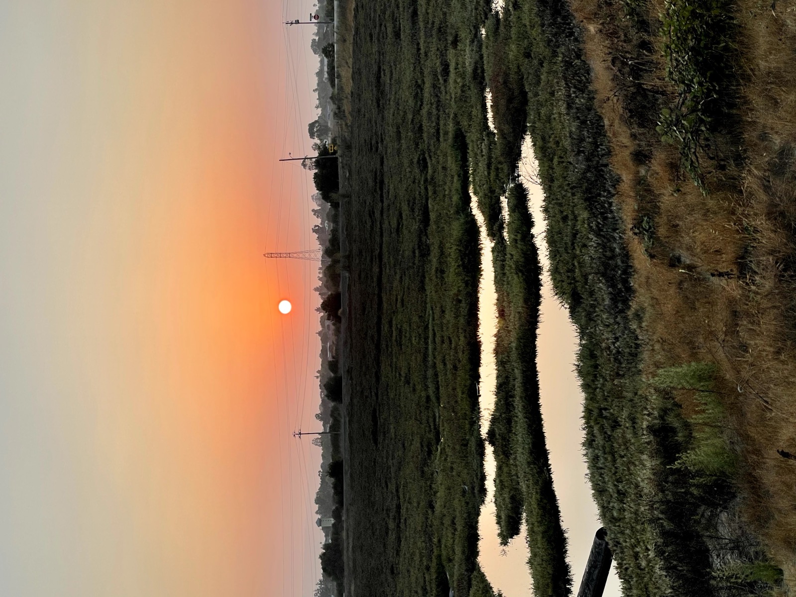 Segment 36, photo 1