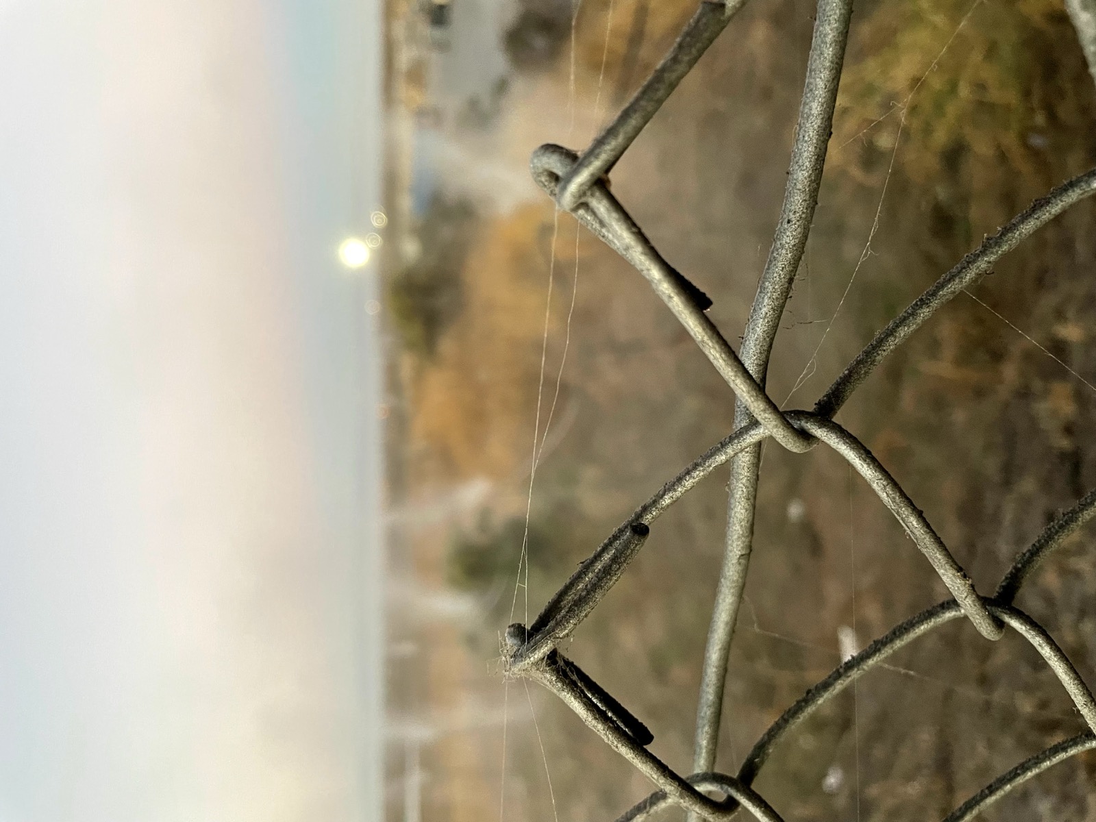 Segment 37, photo 3