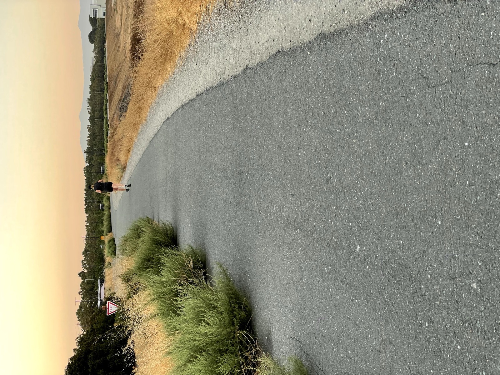 Segment 37, photo 6