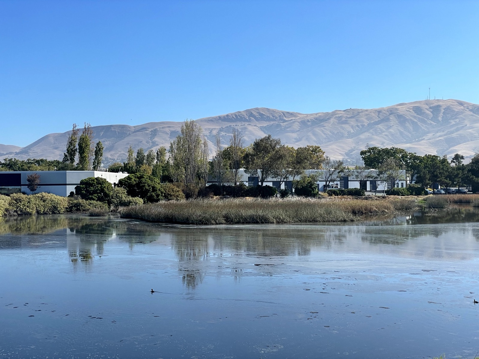Segment 38, photo 10