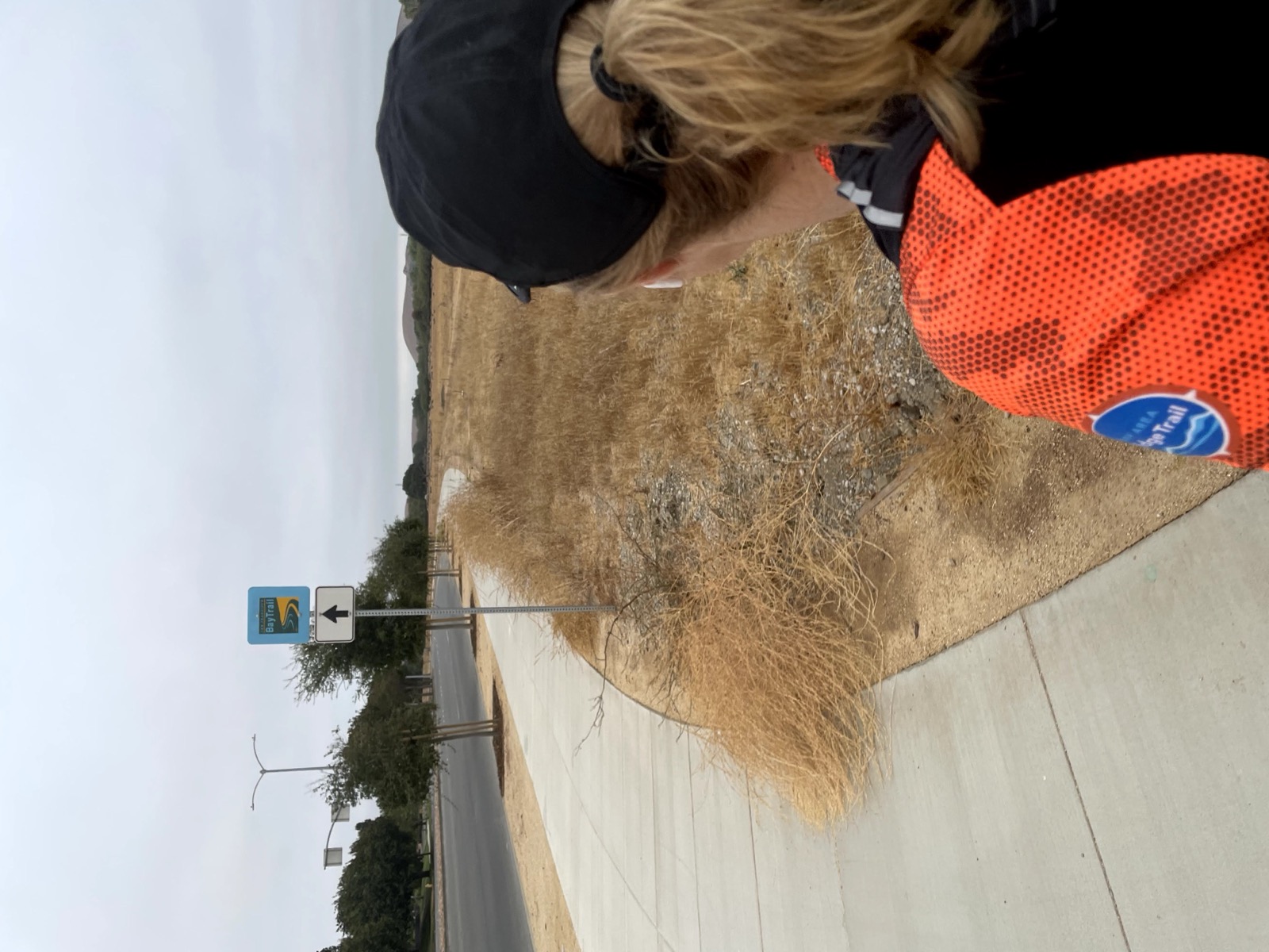 Segment 39, photo 1